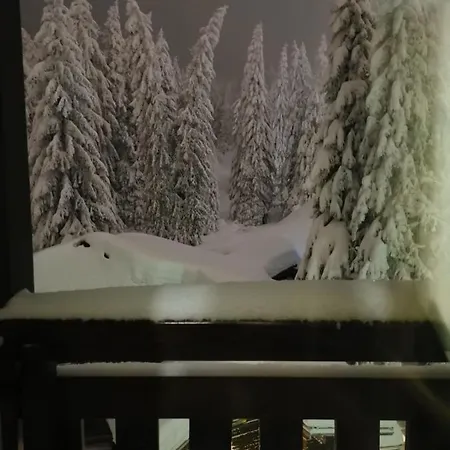 Апартаменты Zed Zvoncica *