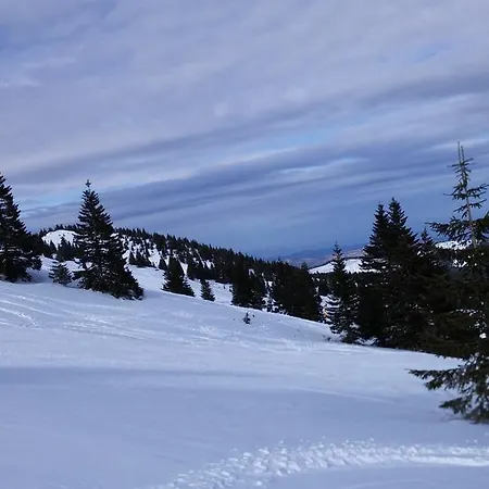 Апартаменты Zed Zvoncica Копаоник