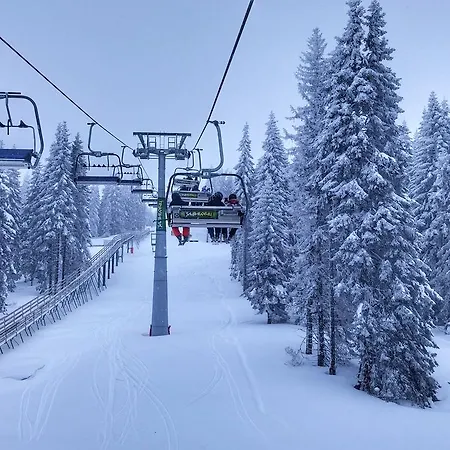 Zed Zvoncica Копаоник