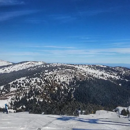 Апартаменты Zed Zvoncica Копаоник