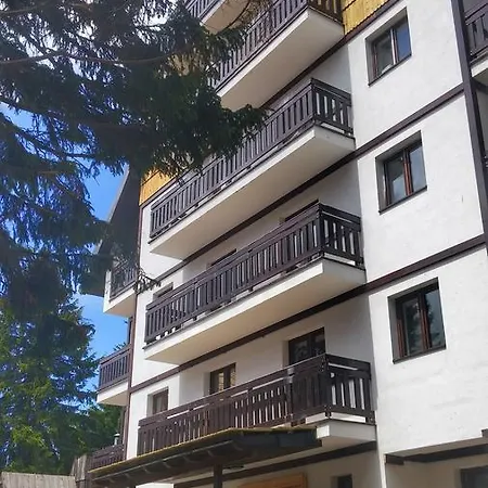 Zed Zvoncica Kopaonik
