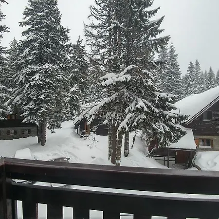 Zed Zvoncica * Kopaonik